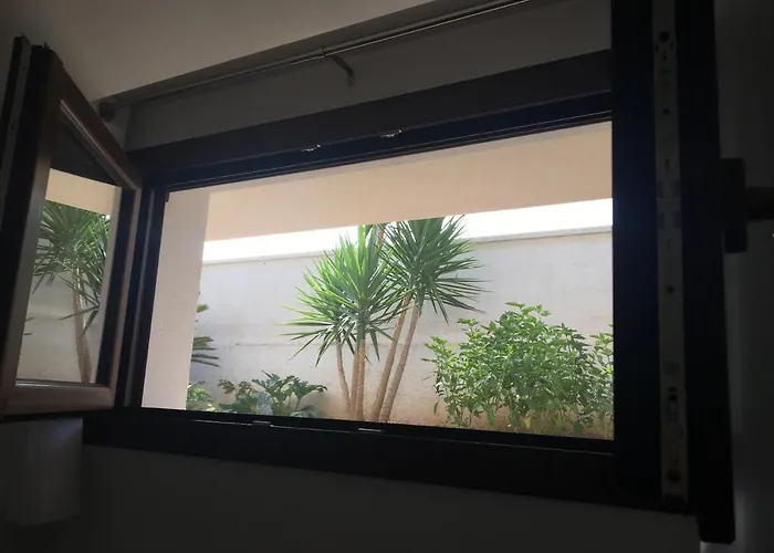 Armonia אוג'נטו