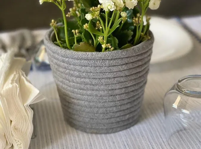 לינה וארוחת בוקר Armonia